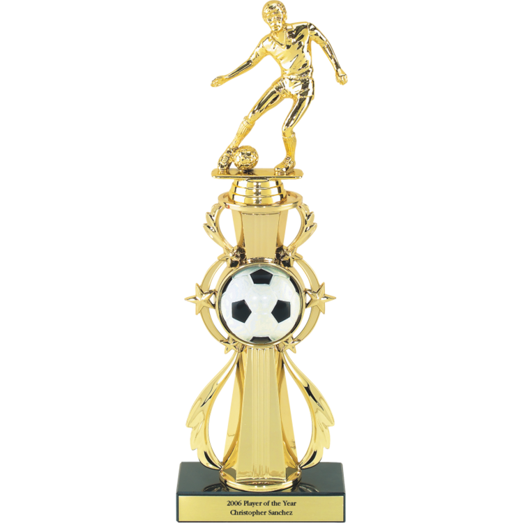 3D Full Color Sport Ball Star Riser Award Trophy